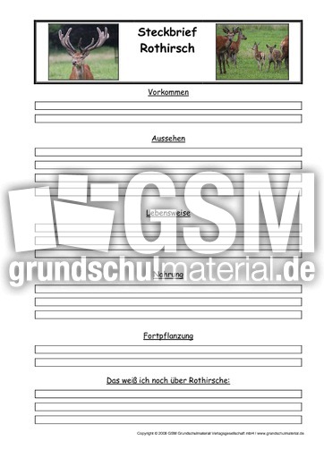 Rothirsch-Steckbriefvorlage.pdf